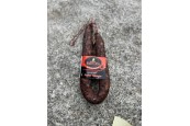 Figatellu issu de porc label rouge fumé